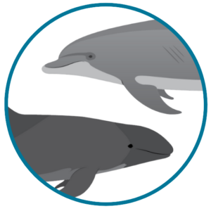 adopt circle