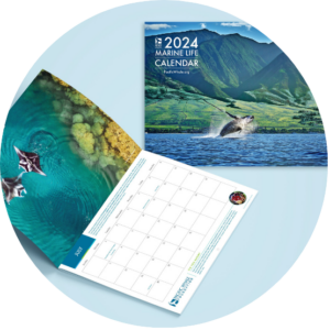 2024 calender