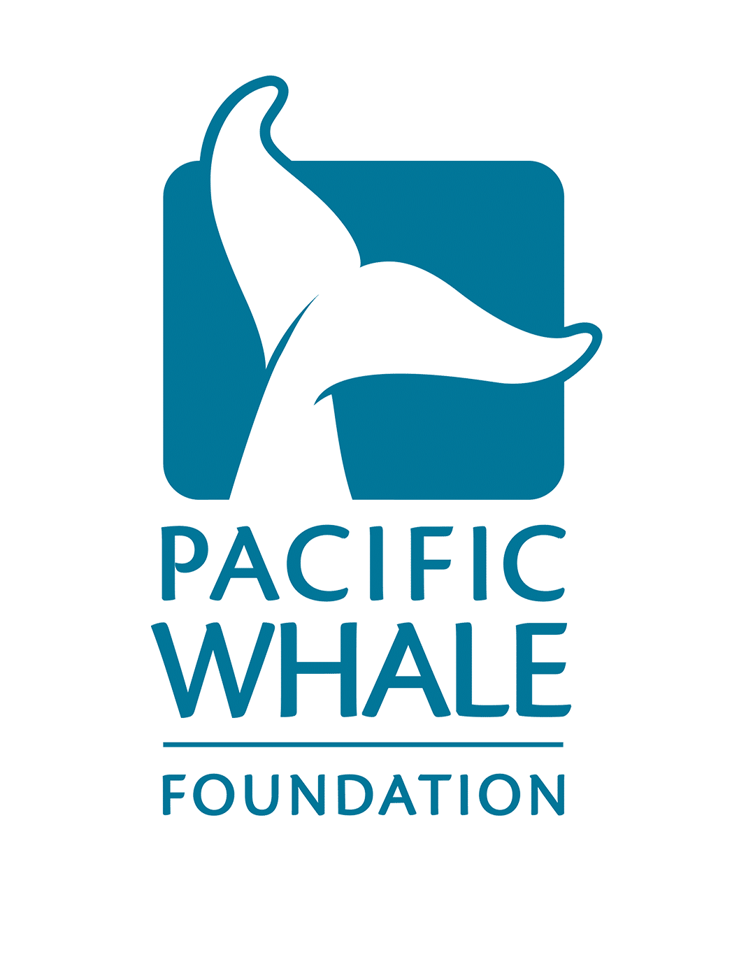 Go Slow Whales Below Pacific Whale Foundation
