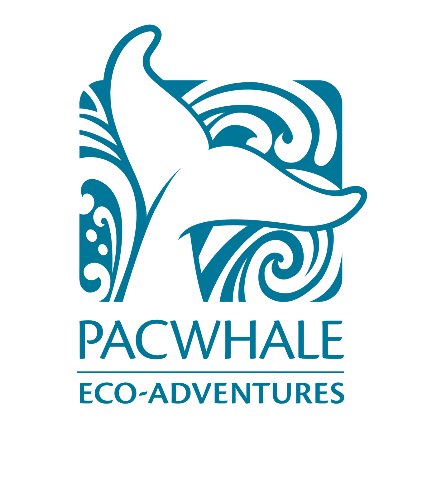 Go Slow Whales Below Pacific Whale Foundation