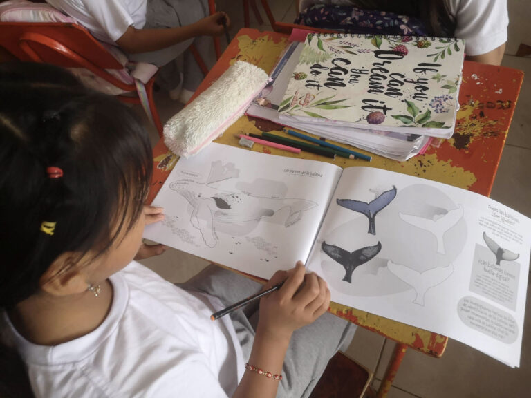 A young girl sitting at a desk coloring in a whale workbook.