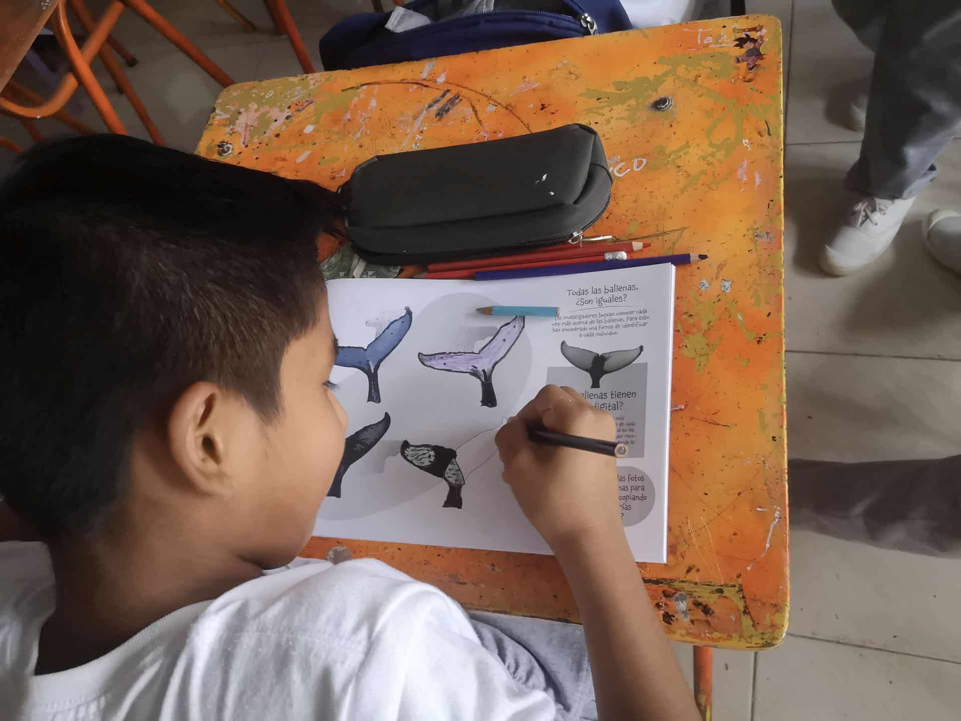 A young boy sitting at a desk coloring in a whale workbook.