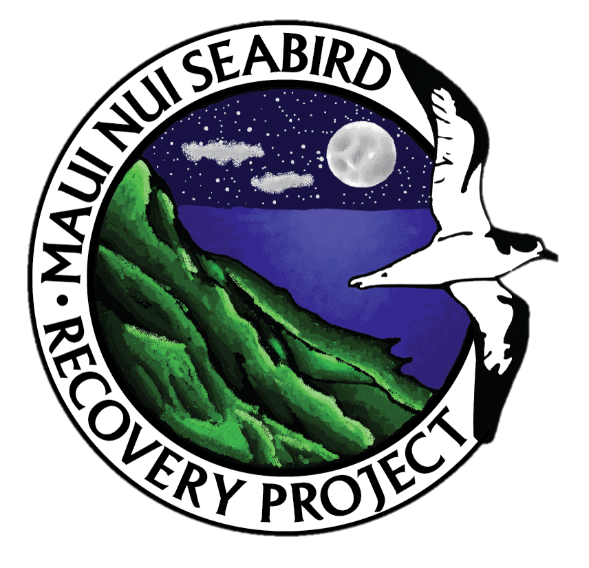 Maui Nui Seabird Recovery