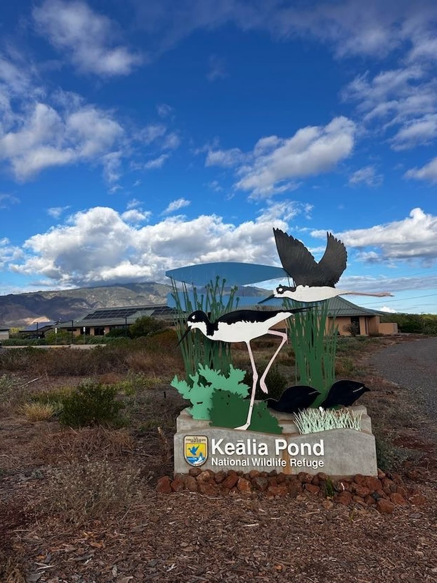 Kealia Pond