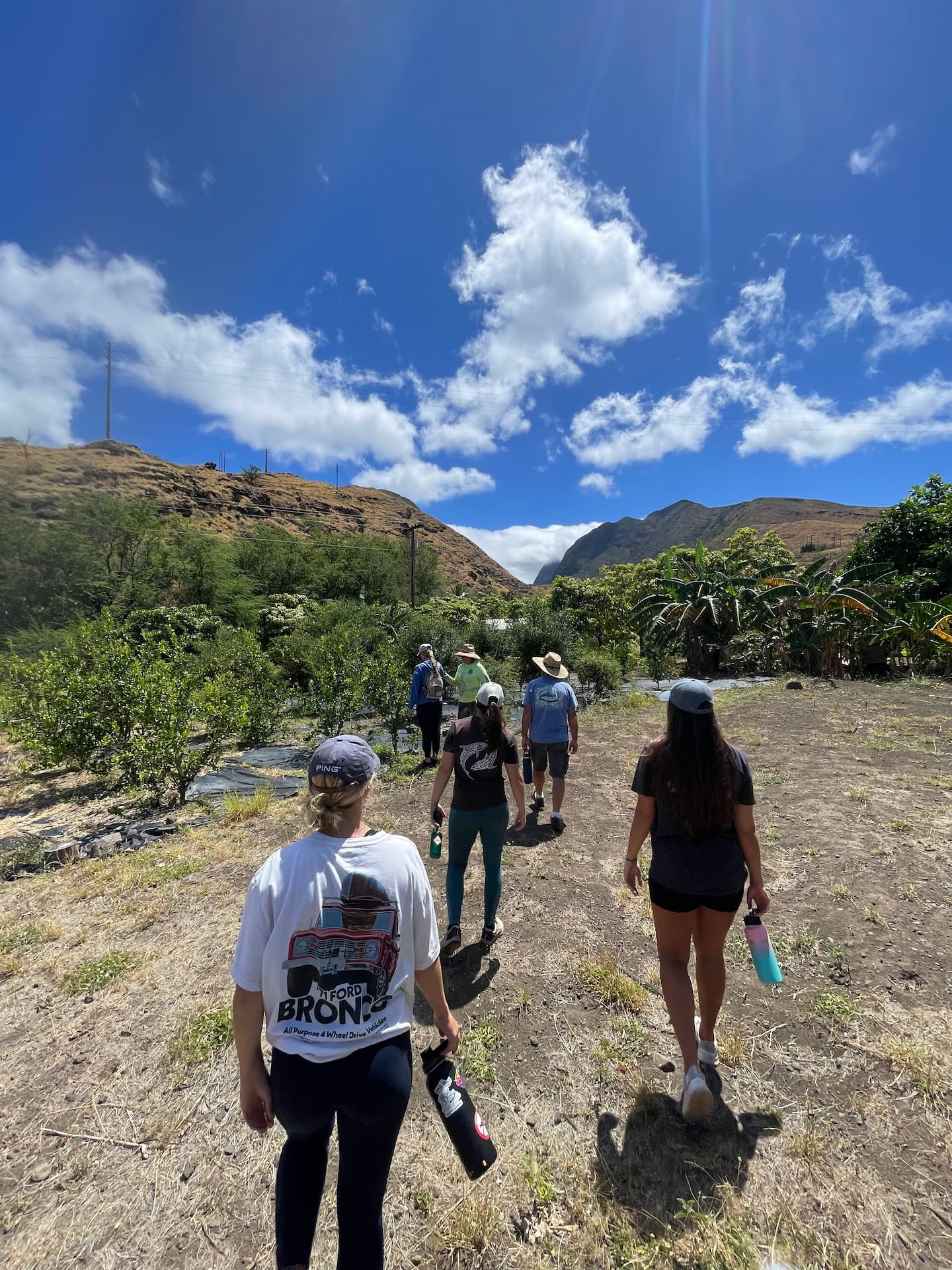 Kipuka Olowalu