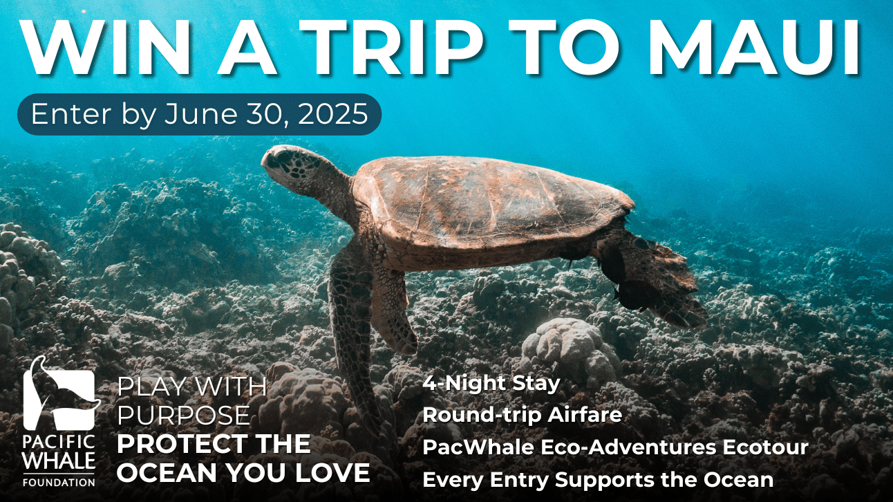 win a trip