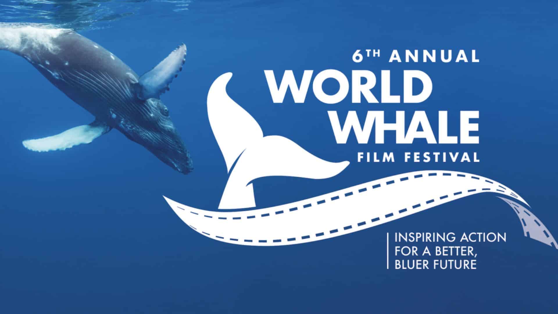 The logo of the 6th annual World Whale Film Festival.