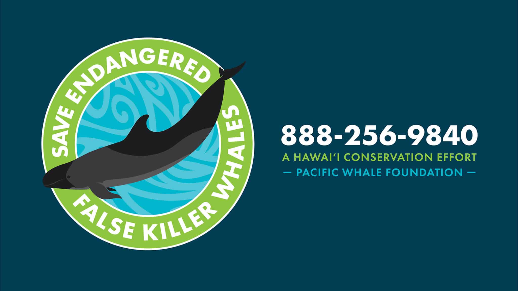 Homepage Pacific Whale Foundation
