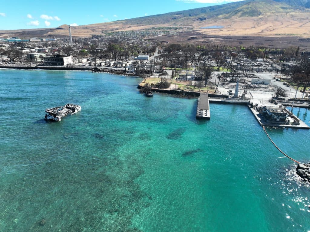 WILDFIRE IMPACTS Pacific Whale Foundation WILDFIRE IMPACTS Pacific Whale Foundation