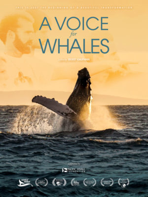 A voice of whale