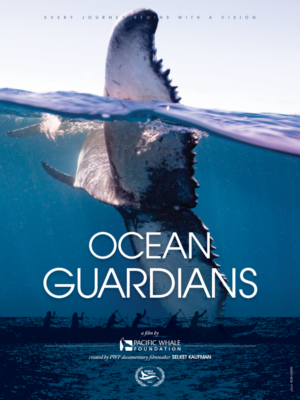 ocean guardians