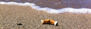 maui cigarette butt free beaches campaign