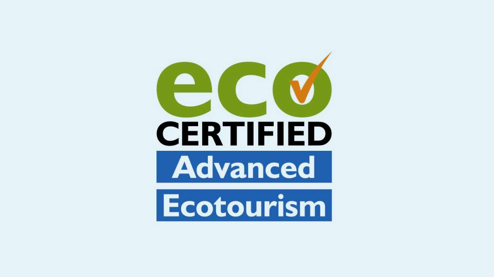 Eco Certified Logo