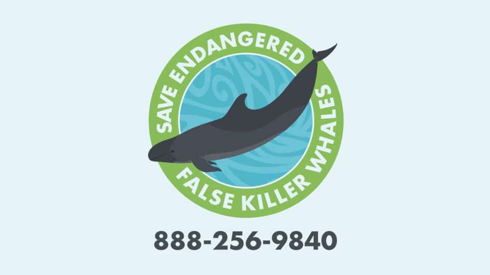 Save Endangered False Killer Whales