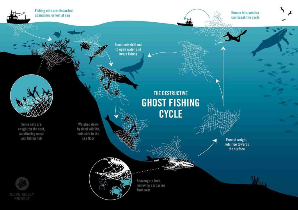 Commercial Fishing Methods: Gillnets