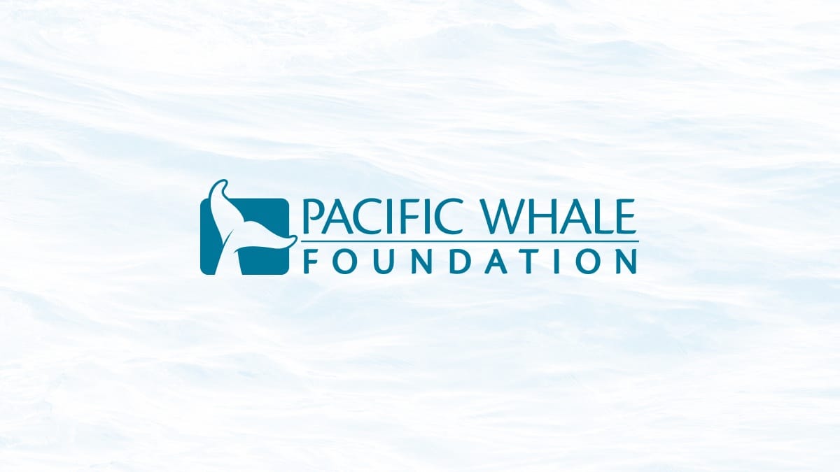 Men's Force of Nature Short Sleeve TShirt Pacific Whale Foundation