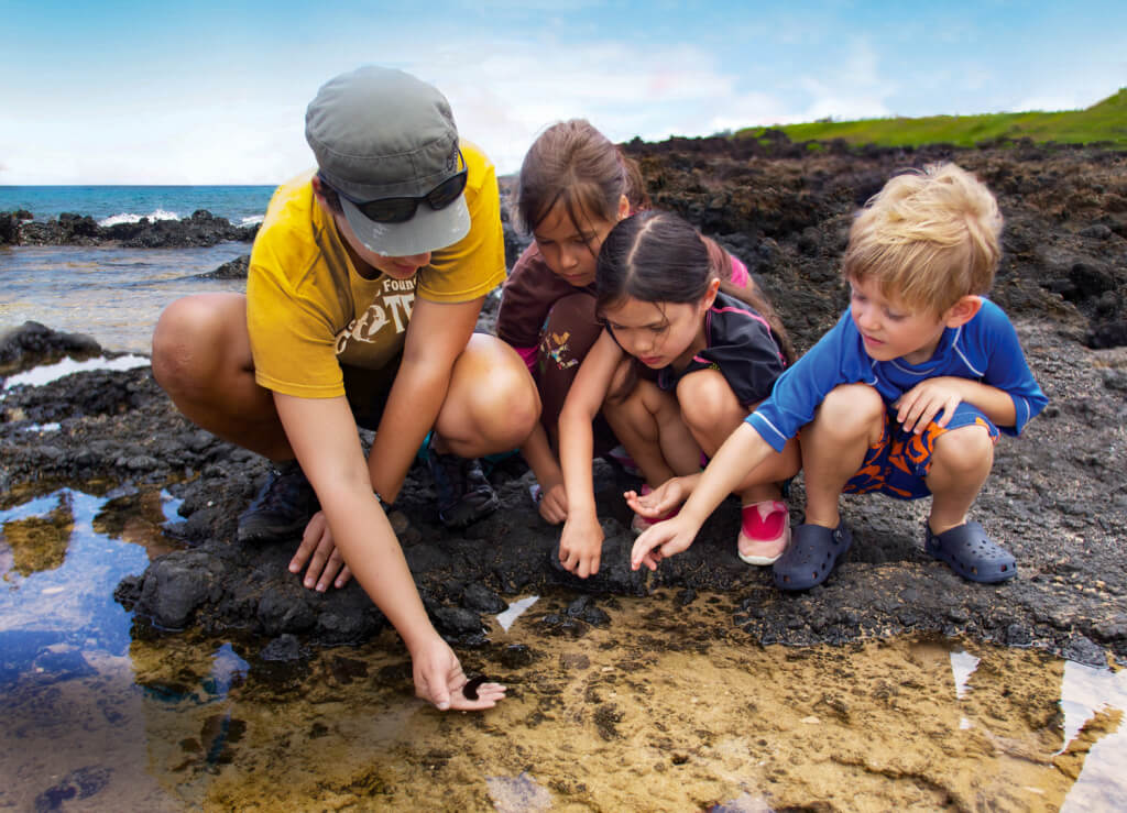 Introducing the RETHINK Kit! - Pacific Whale Foundation